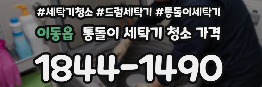 이동읍 통돌이 세탁기 청소 가격