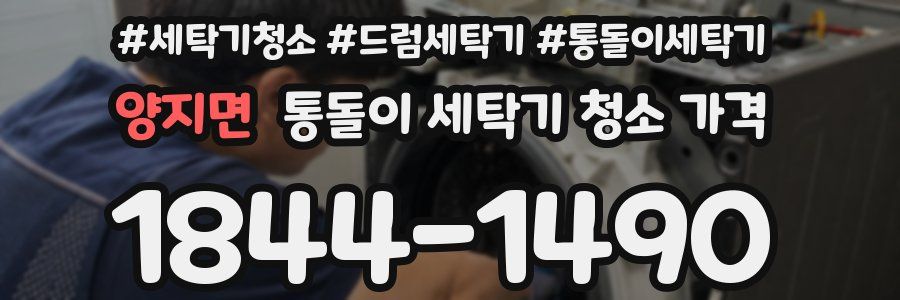 양지면 통돌이 세탁기 청소 가격