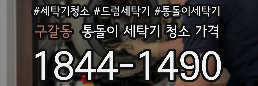 구갈동 통돌이 세탁기 청소 가격
