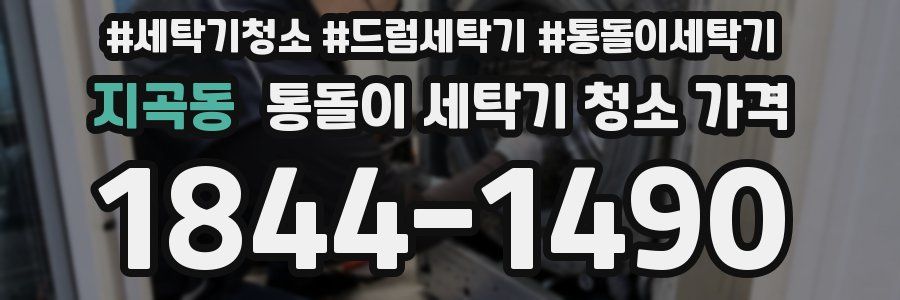 지곡동 통돌이 세탁기 청소 가격