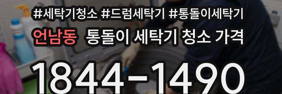 언남동 통돌이 세탁기 청소 가격