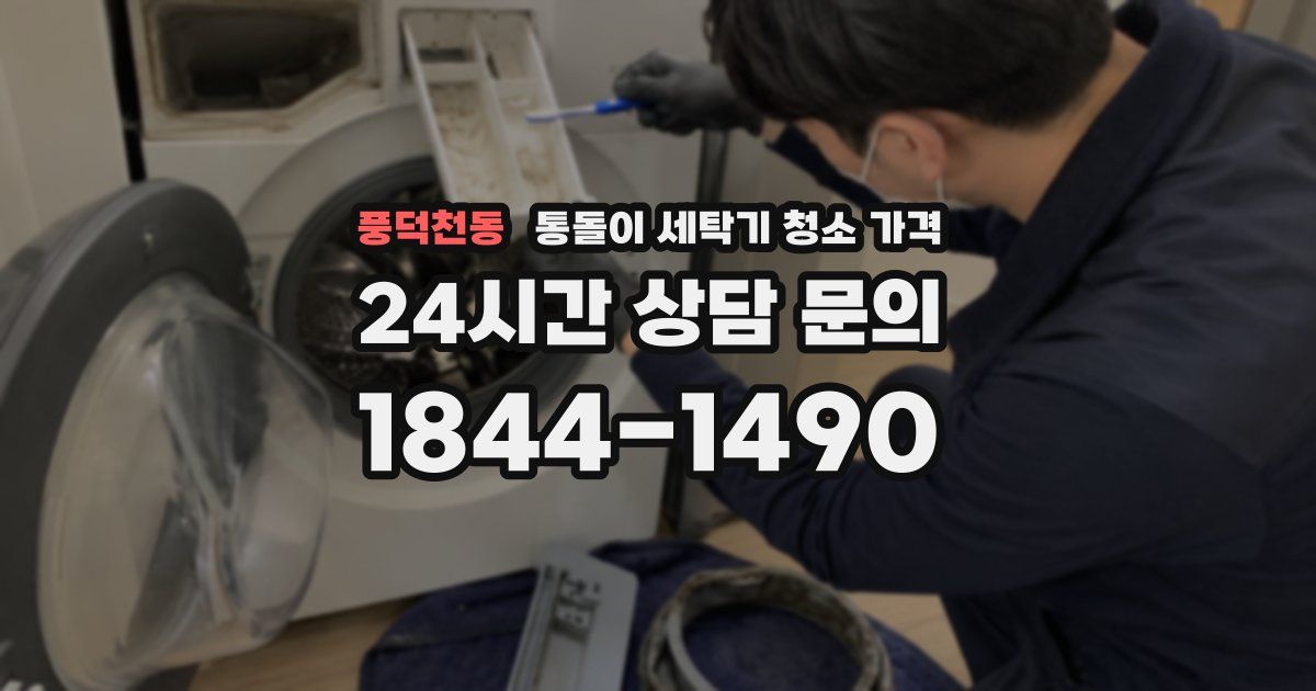 풍덕천동 통돌이 세탁기 청소 가격