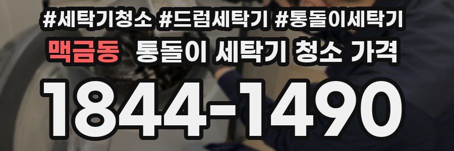 맥금동 통돌이 세탁기 청소 가격