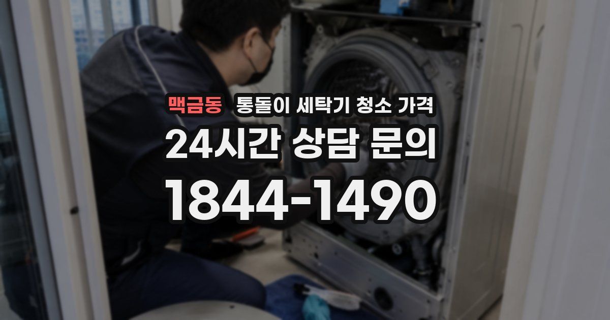 맥금동 통돌이 세탁기 청소 가격