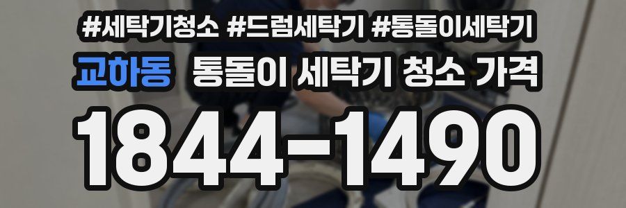 교하동 통돌이 세탁기 청소 가격