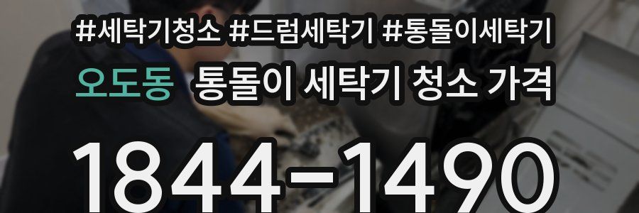 오도동 통돌이 세탁기 청소 가격