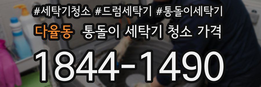다율동 통돌이 세탁기 청소 가격