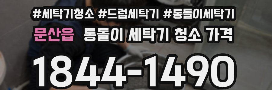 문산읍 통돌이 세탁기 청소 가격