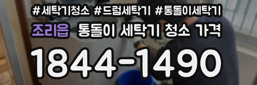 조리읍 통돌이 세탁기 청소 가격