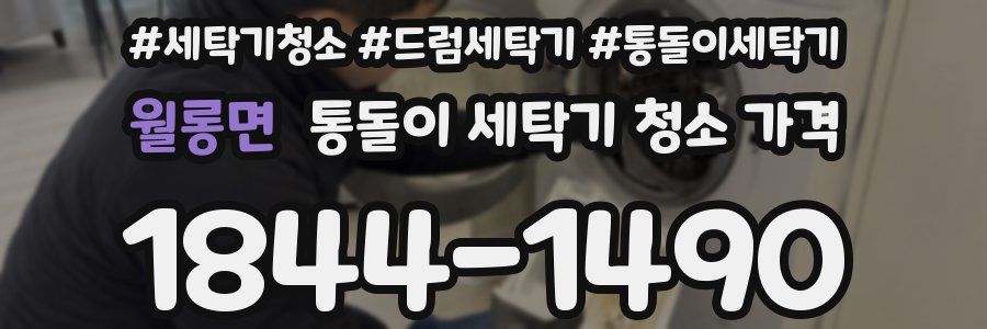 월롱면 통돌이 세탁기 청소 가격
