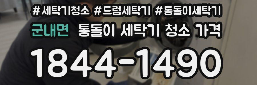군내면 통돌이 세탁기 청소 가격