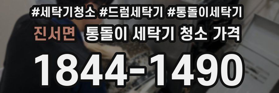 진서면 통돌이 세탁기 청소 가격