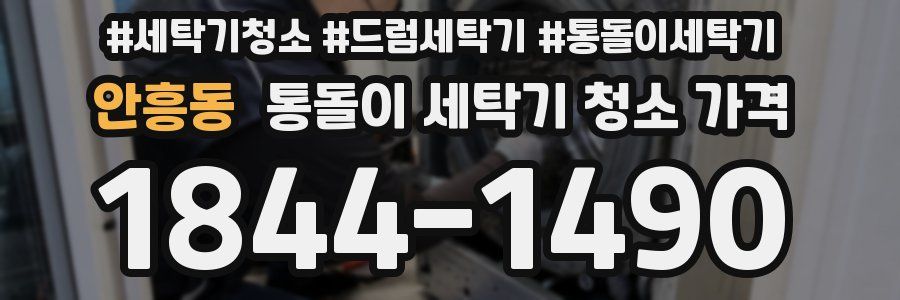 안흥동 통돌이 세탁기 청소 가격