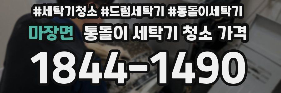마장면 통돌이 세탁기 청소 가격
