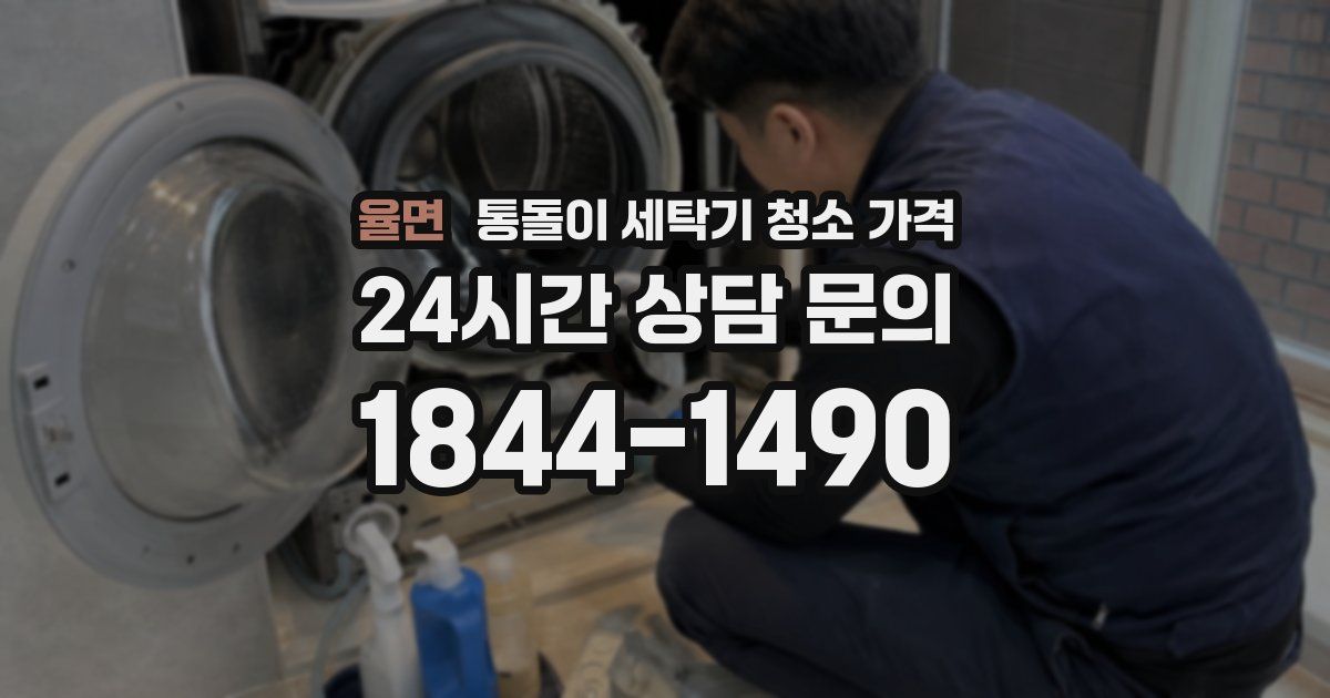 율면 통돌이 세탁기 청소 가격