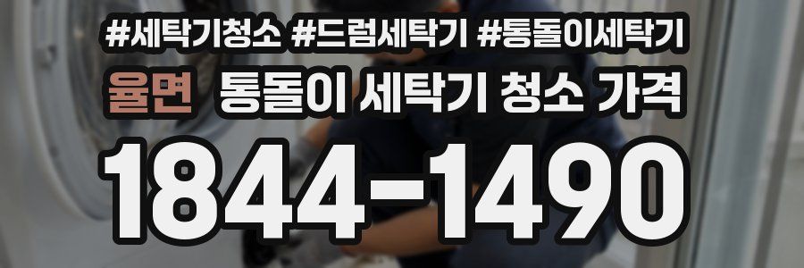 율면 통돌이 세탁기 청소 가격