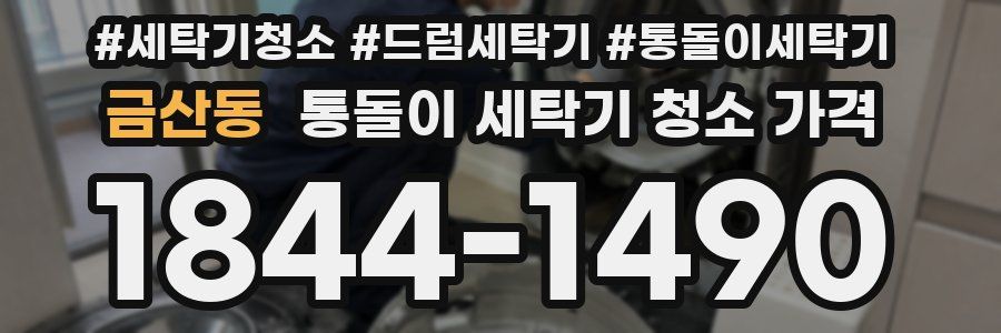 금산동 통돌이 세탁기 청소 가격