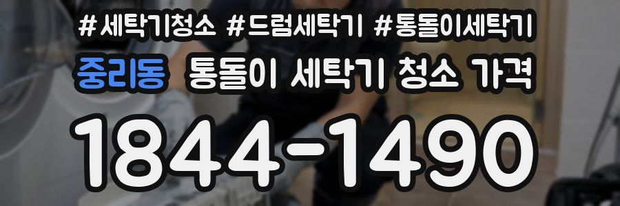중리동 통돌이 세탁기 청소 가격