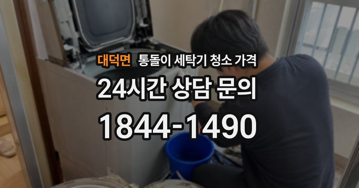 대덕면 통돌이 세탁기 청소 가격