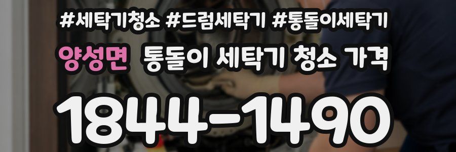 양성면 통돌이 세탁기 청소 가격