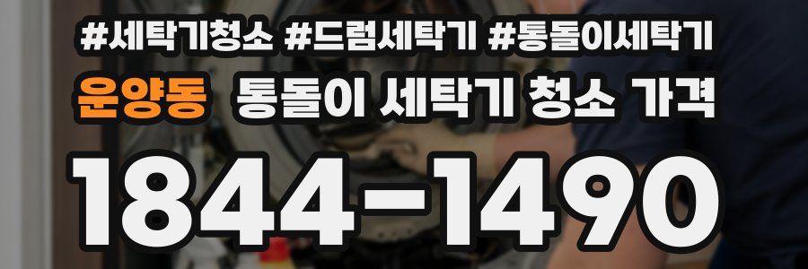 운양동 통돌이 세탁기 청소 가격