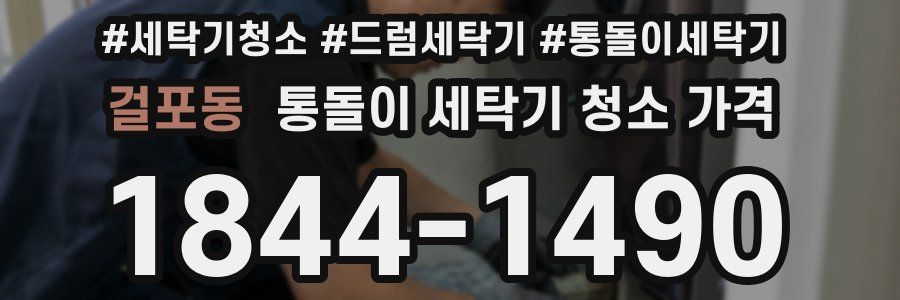 걸포동 통돌이 세탁기 청소 가격