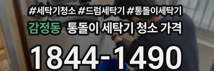 감정동 통돌이 세탁기 청소 가격