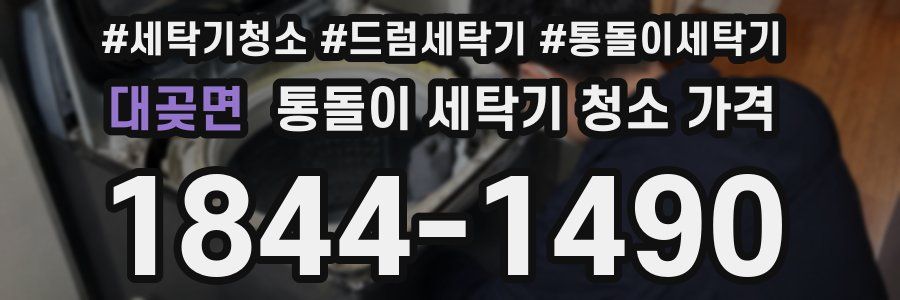 대곶면 통돌이 세탁기 청소 가격