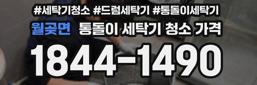 월곶면 통돌이 세탁기 청소 가격
