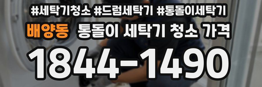 배양동 통돌이 세탁기 청소 가격