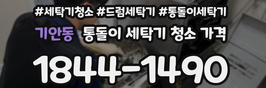 기안동 통돌이 세탁기 청소 가격