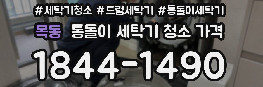 목동 통돌이 세탁기 청소 가격