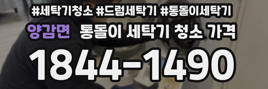양감면 통돌이 세탁기 청소 가격
