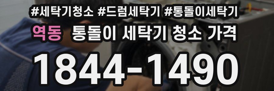 역동 통돌이 세탁기 청소 가격