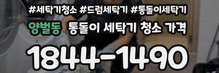 양벌동 통돌이 세탁기 청소 가격