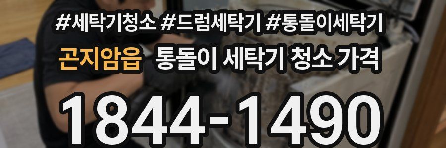 곤지암읍 통돌이 세탁기 청소 가격