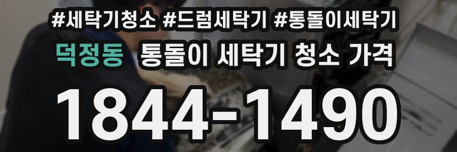 덕정동 통돌이 세탁기 청소 가격