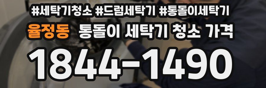율정동 통돌이 세탁기 청소 가격