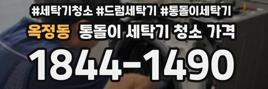 옥정동 통돌이 세탁기 청소 가격