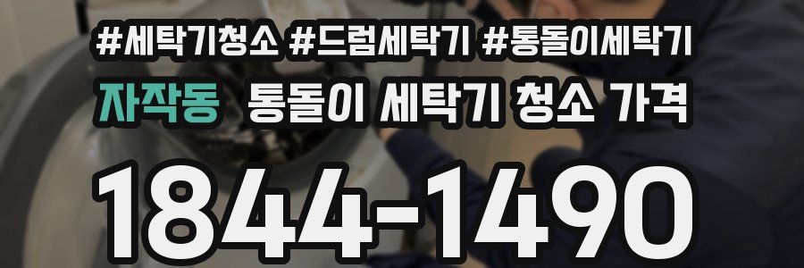 자작동 통돌이 세탁기 청소 가격