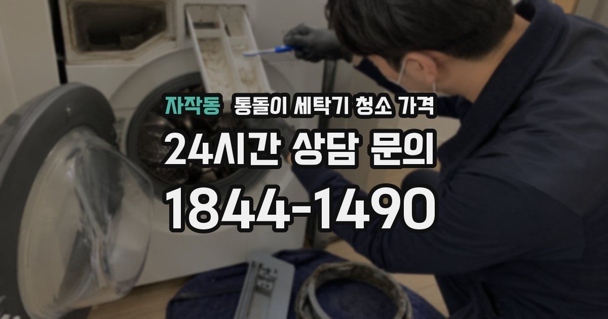 자작동 통돌이 세탁기 청소 가격