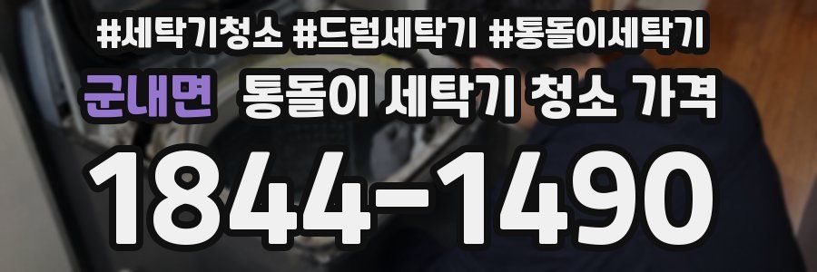 군내면 통돌이 세탁기 청소 가격