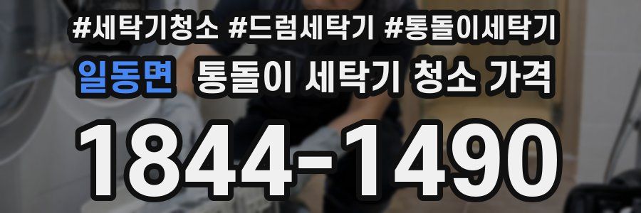일동면 통돌이 세탁기 청소 가격