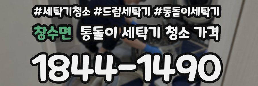 창수면 통돌이 세탁기 청소 가격