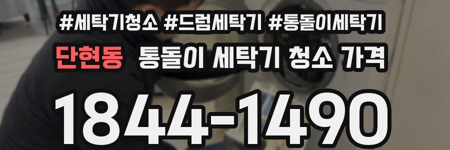 단현동 통돌이 세탁기 청소 가격