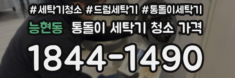 능현동 통돌이 세탁기 청소 가격