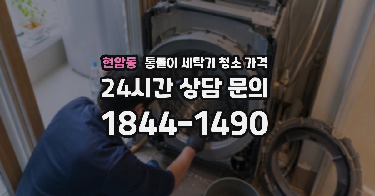 현암동 통돌이 세탁기 청소 가격