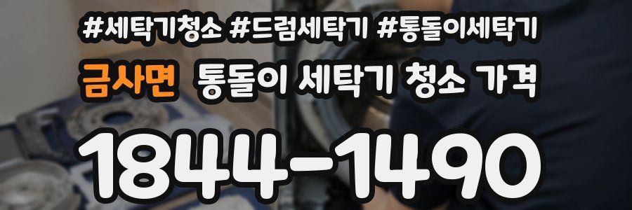 금사면 통돌이 세탁기 청소 가격