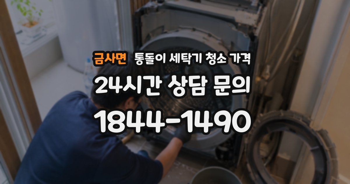 금사면 통돌이 세탁기 청소 가격