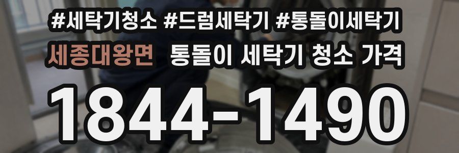 세종대왕면 통돌이 세탁기 청소 가격